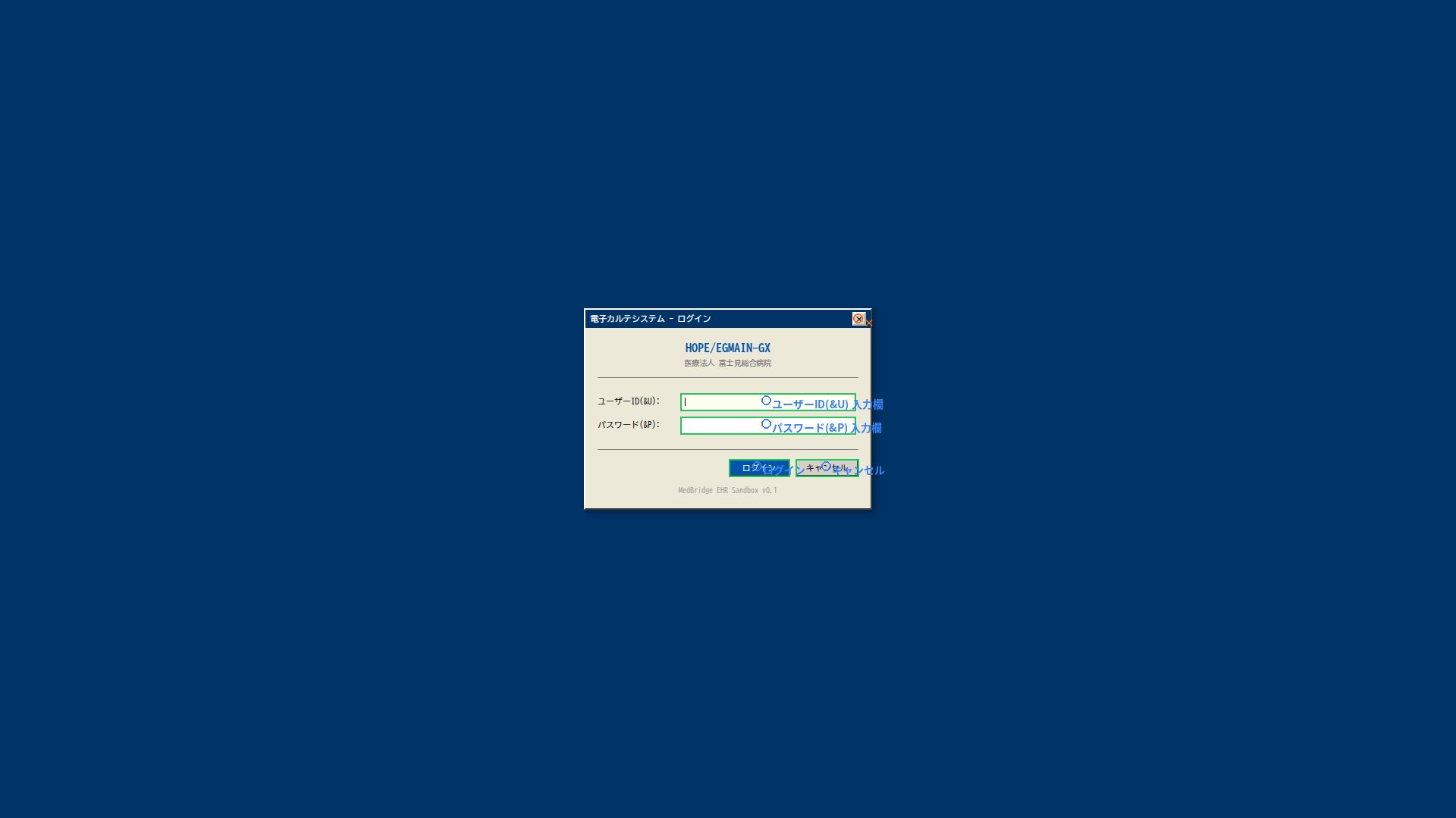 ログイン画面のDetection結果